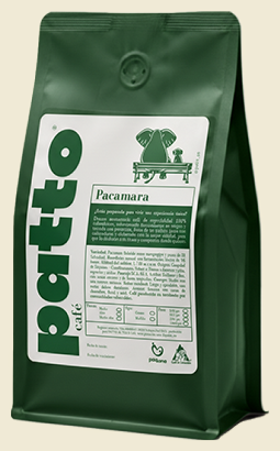 Empaque café Patto – Pacamara